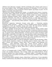 Teatro istorijos teorija 6 puslapis