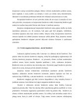 Akcinis kapitalas 13 puslapis