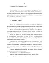 Akcinis kapitalas 4 puslapis