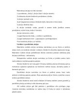 Akcinis kapitalas 5 puslapis