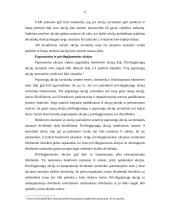 Akcinis kapitalas 6 puslapis