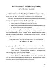 Interneto prieglobos paslaugų teikėjų atsakomybė pagal Lietuvos ir Europos Sąjungos (ES) teisę 12 puslapis