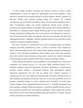 Interneto prieglobos paslaugų teikėjų atsakomybė pagal Lietuvos ir Europos Sąjungos (ES) teisę 9 puslapis