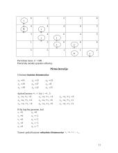 Optimizavimo metodų uždavinys 11 puslapis
