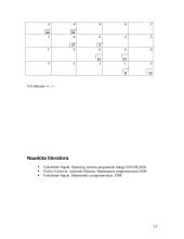 Optimizavimo metodų uždavinys 13 puslapis