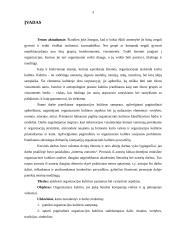 Organizacinė kultūra 2 puslapis