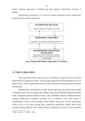 Organizacinė kultūra 11 puslapis