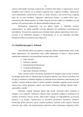 Organizacinė kultūra 12 puslapis