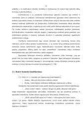 Organizacinė kultūra 13 puslapis