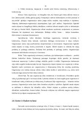 Organizacinė kultūra 15 puslapis