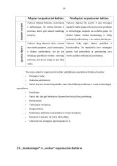 Organizacinė kultūra 17 puslapis