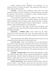 Organizacinė kultūra 18 puslapis