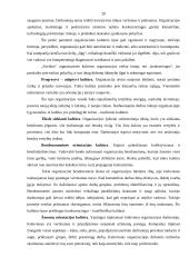 Organizacinė kultūra 19 puslapis