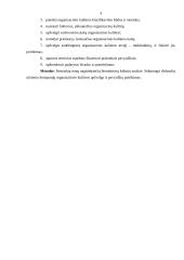 Organizacinė kultūra 3 puslapis