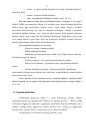 Organizacinė kultūra 5 puslapis