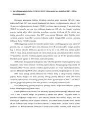 Investicijų aplinka 2 puslapis