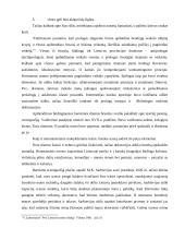 Barokinis teatras Lietuvoje 4 puslapis