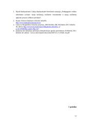 Pedagoginės praktikos ataskaita vidurinėje mokykloje 11 puslapis