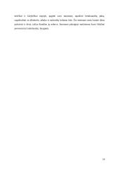 Pedagoginės praktikos ataskaita vidurinėje mokykloje 18 puslapis