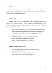 Pedagoginės praktikos ataskaita vidurinėje mokykloje 4 puslapis