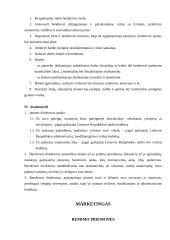 Praktikos ataskaita: draudimo kompanija ADB "Snoro garantas" 13 puslapis
