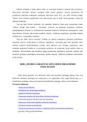 Praktikos ataskaita: draudimo kompanija ADB "Snoro garantas" 15 puslapis