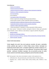 Praktikos ataskaita: draudimo kompanija ADB "Snoro garantas" 16 puslapis