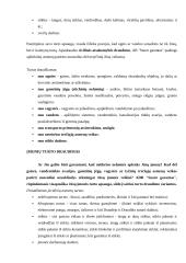 Praktikos ataskaita: draudimo kompanija ADB "Snoro garantas" 17 puslapis