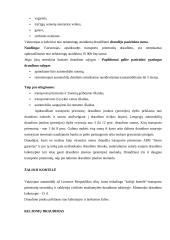 Praktikos ataskaita: draudimo kompanija ADB "Snoro garantas" 19 puslapis