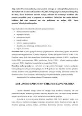 Praktikos ataskaita: draudimo kompanija ADB "Snoro garantas" 20 puslapis