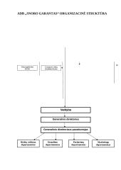 Praktikos ataskaita: draudimo kompanija ADB "Snoro garantas" 7 puslapis