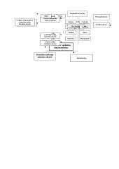 Praktikos ataskaita: draudimo kompanija ADB "Snoro garantas" 8 puslapis