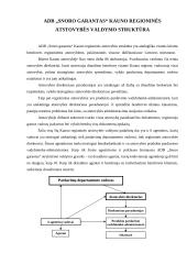 Praktikos ataskaita: draudimo kompanija ADB "Snoro garantas" 10 puslapis