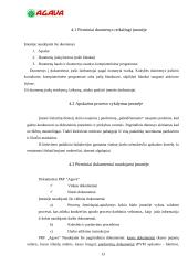 Praktikos ataskaita: prekybinė komercinė firma "Agava" 13 puslapis