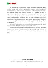Praktikos ataskaita: prekybinė komercinė firma "Agava" 15 puslapis