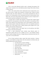 Praktikos ataskaita: prekybinė komercinė firma "Agava" 3 puslapis