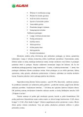 Praktikos ataskaita: prekybinė komercinė firma "Agava" 4 puslapis