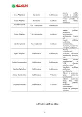 Praktikos ataskaita: prekybinė komercinė firma "Agava" 8 puslapis