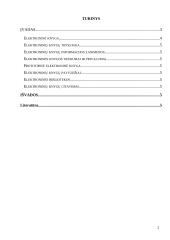 Elektroninės knygos 2 puslapis