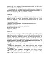 Fotografija (referatas) 12 puslapis