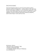 Fotografija (referatas) 14 puslapis