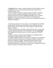 Fotografija (referatas) 2 puslapis