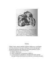 Fotografija (referatas) 4 puslapis