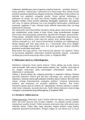 Mokymosi motyvacija 13 puslapis