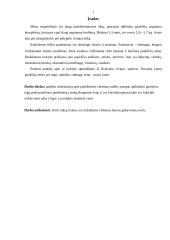 Paukštienos gavyba 2 puslapis