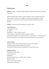 Paukštienos gavyba 6 puslapis