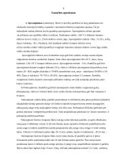 Paukštienos gavyba 9 puslapis