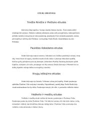 Teatrinės raiškos kūrybiniai darbai 3 puslapis