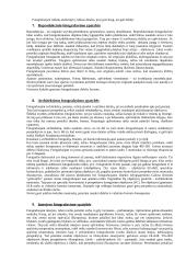 Fotografavimo metodai 3 puslapis