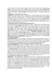 Mėsos skerdimas 13 puslapis